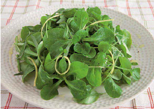 Salade verte aux herbes fraiches