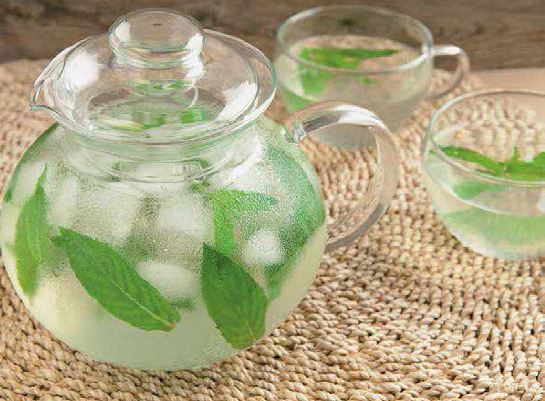 The glace a la menthe fraiche